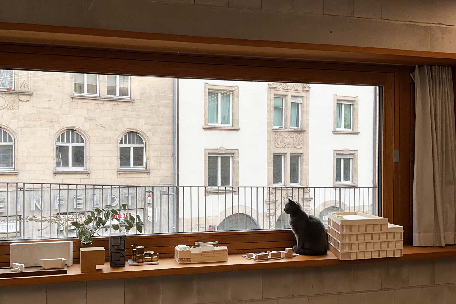 Wenn die Nachbarskatze zwischen Architektur und Stadtpanorama posiert… (1)