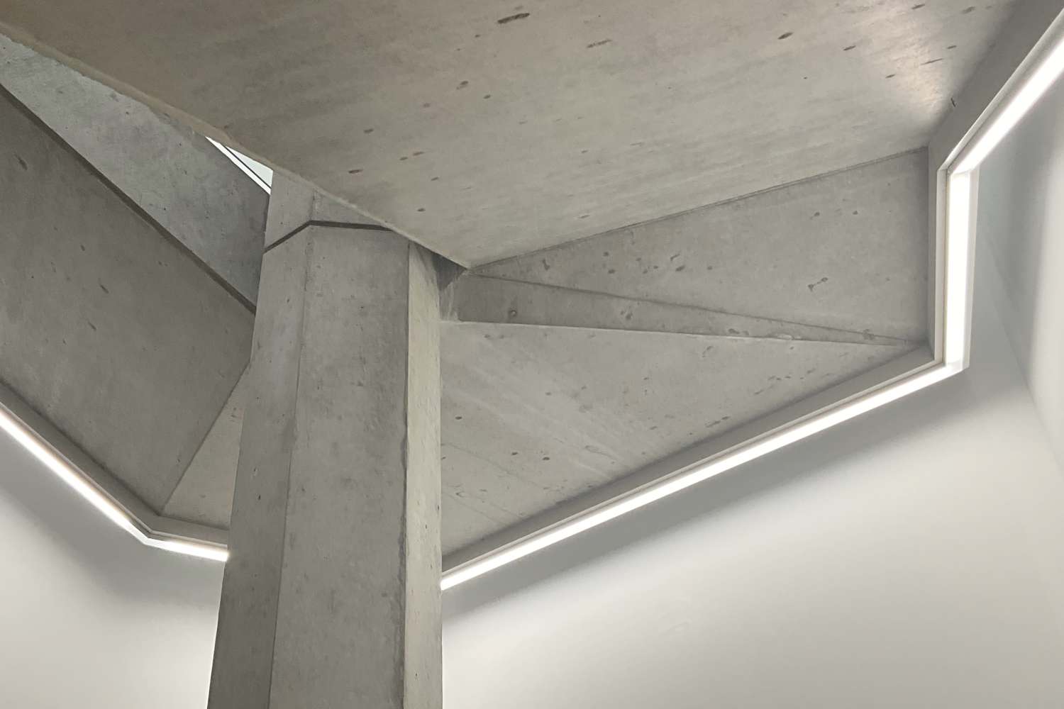 Neues Licht, neue Wege - Tübinger Agentur für Arbeit startet jetzt in den finalen Bauabschnitt (1)