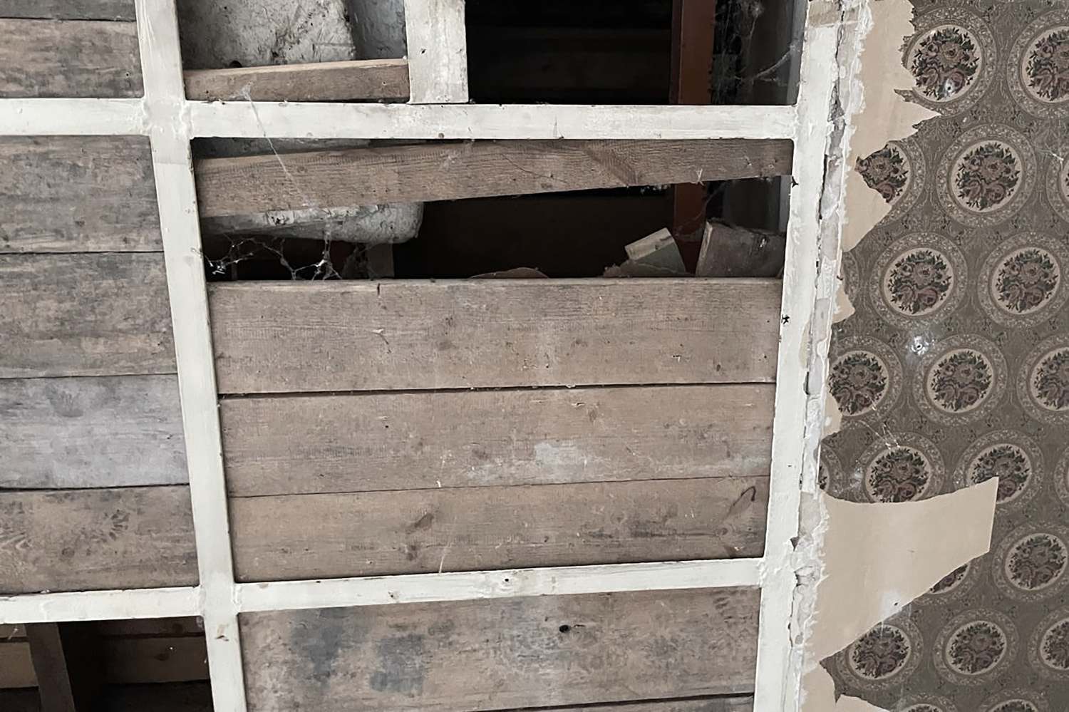 Das Projekt Sanierung vom denkmalgeschützten Stadtbahnhof Tuttlingen ist im vollen Gange.  (1)