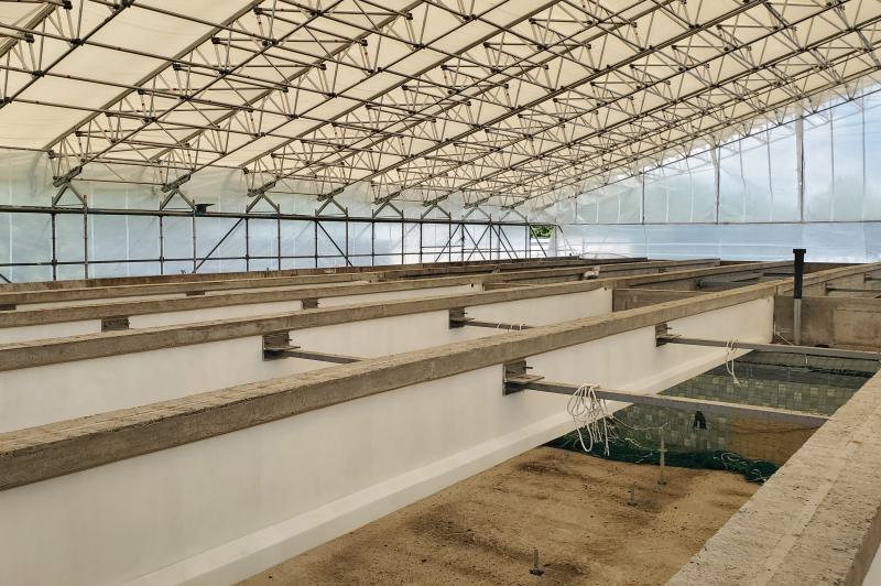 Freie Sicht auf der Baustelle: Das Schwimmhallenbecken ist abgelassen und das Hallendach ist abgedeckt.  (2)