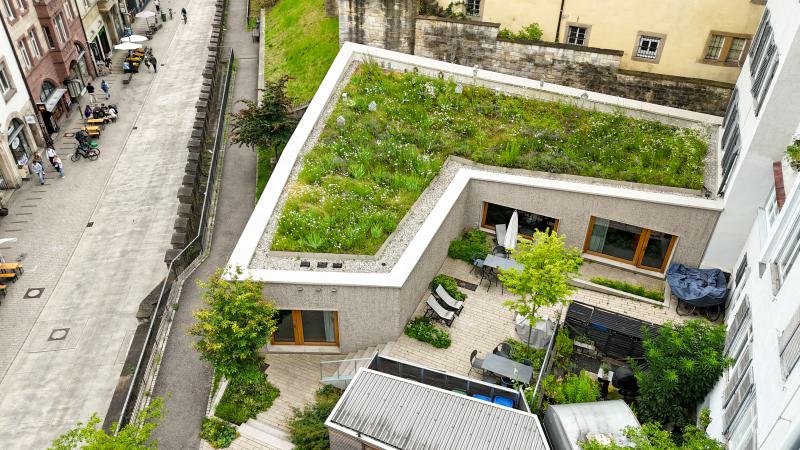 Feierliche Preisverleihung des Flachdach Contest 2023  in unseren Büroräumlichkeiten (2)