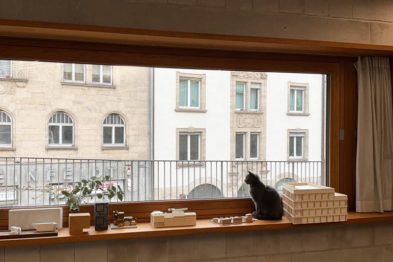 Wenn die Nachbarskatze zwischen Architektur und Stadtpanorama posiert… (1)