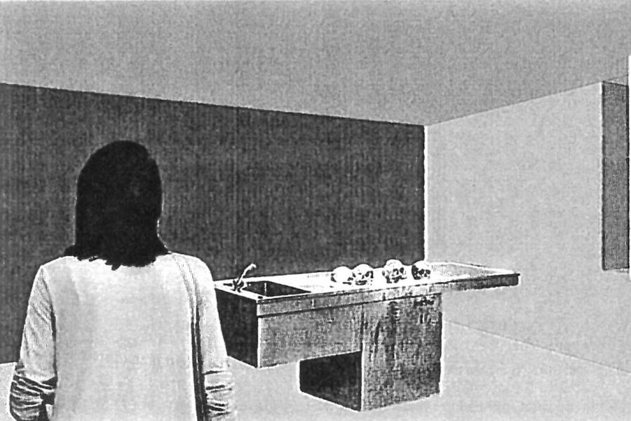Ausstellungskonzeption über den Psychoanalytiker O. Gross (14)