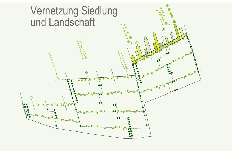 Wohnsiedlung Bäumlesweg (6)