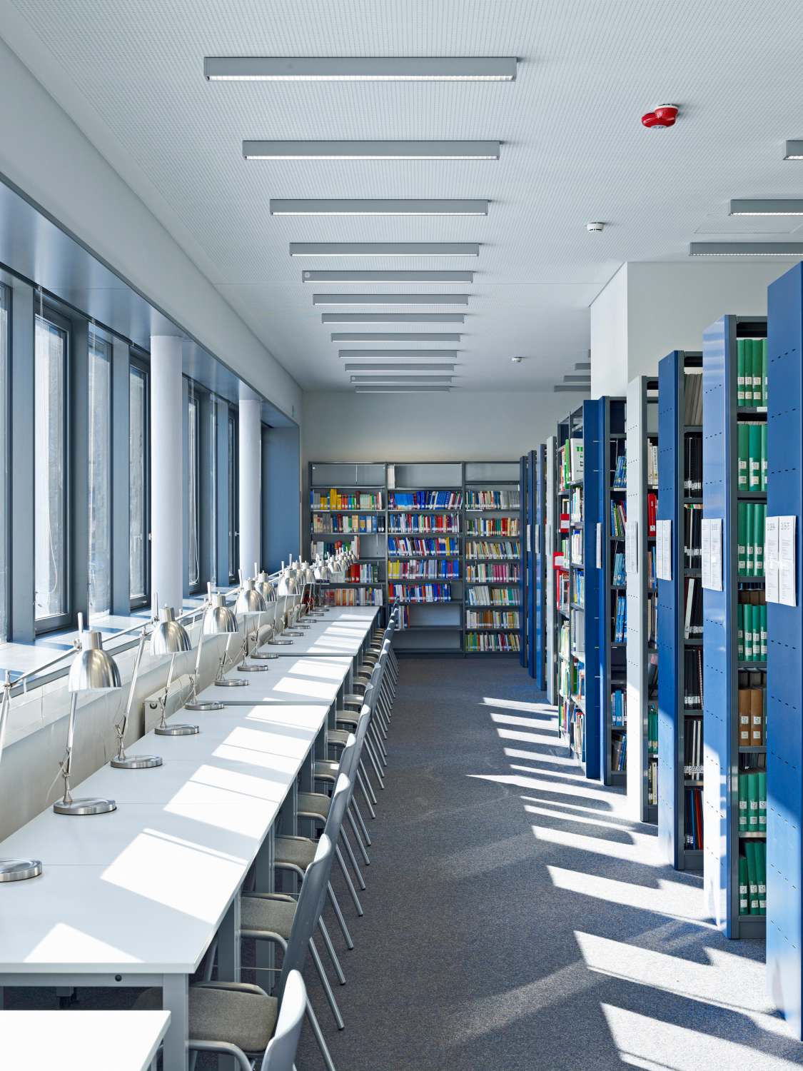 Institutsbibliothek für Sportwissenschaften (6)