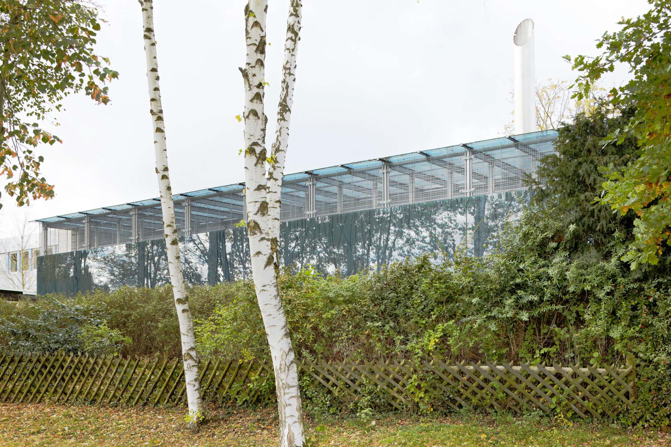 Freigehege im Institut für biologische Kybernetik (4)