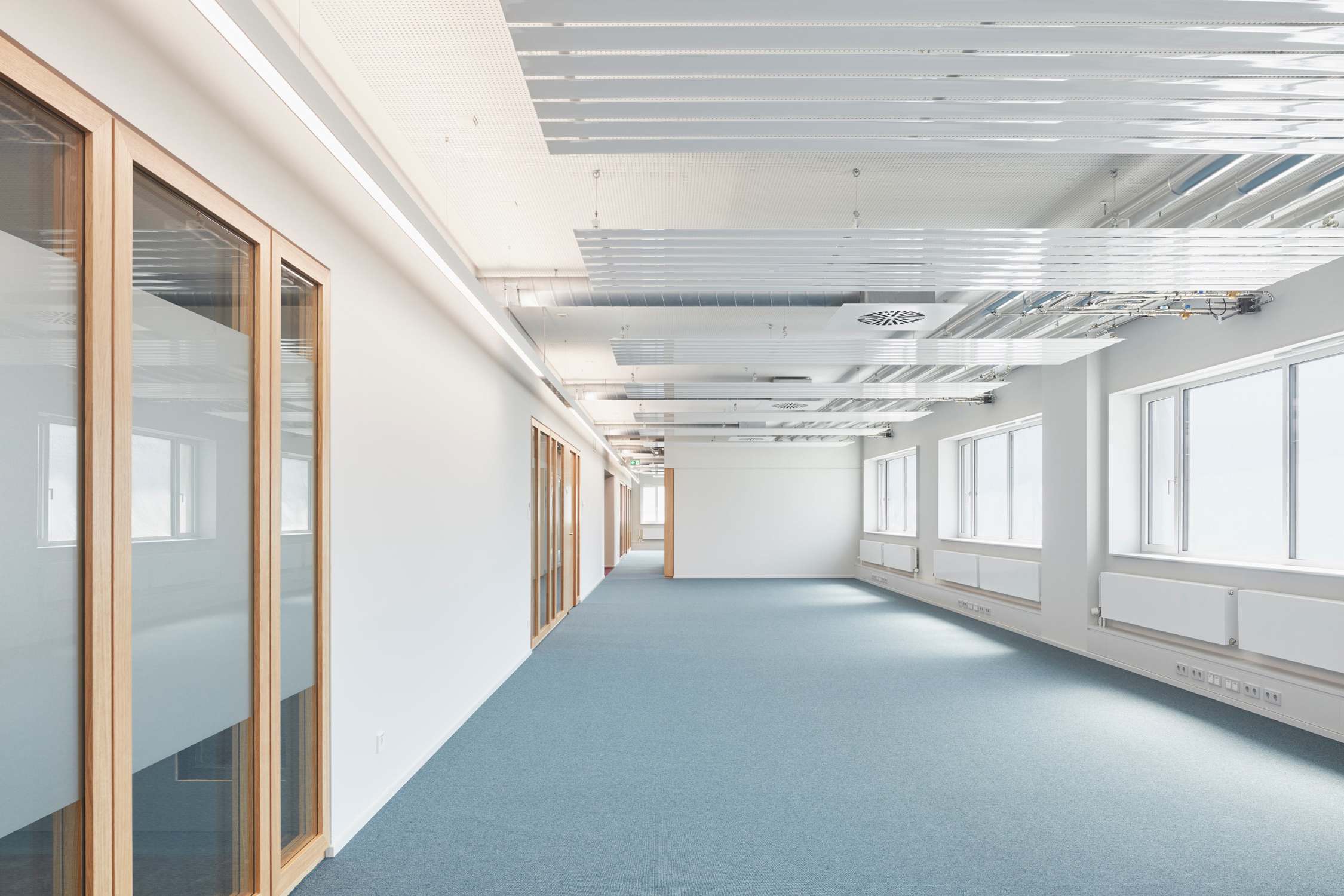 Kernsanierung Büro – und Verwaltungsgebäude  (3)