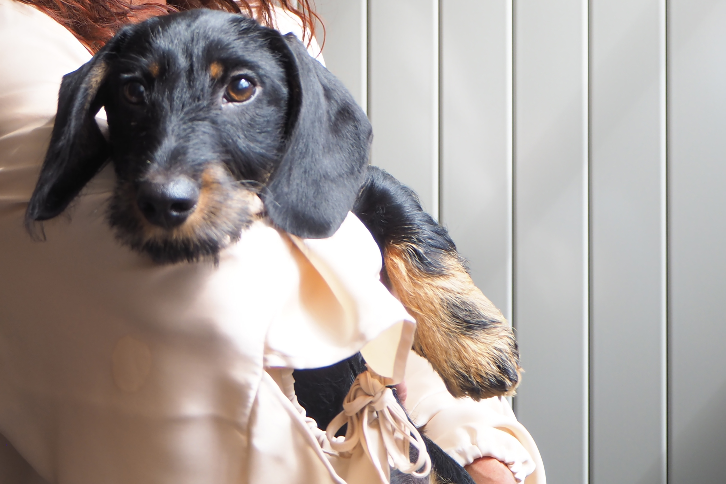 Otto, Freund und Inspiration